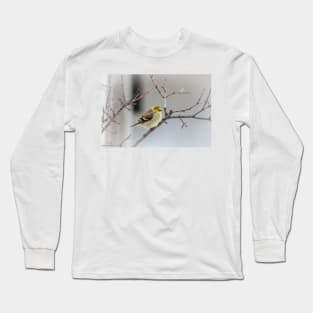 American Goldfinch Fluffy and Warm by Debra Martz Long Sleeve T-Shirt